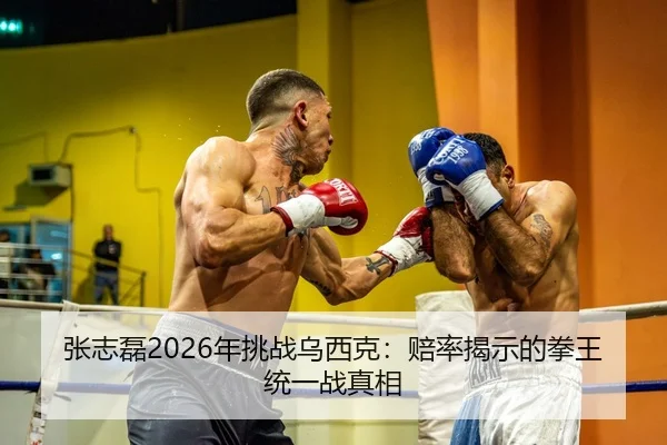张志磊2026年挑战乌西克：赔率揭示的拳王统一战真相