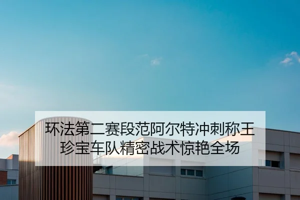 huan-fa-di-er-sai-duan-fan-a-er-te-chong-ci-cheng-wang-zhen-bao-che-dui-jing-mi-zhan-shu-jing-yan-quan-chang-2-299.jpg